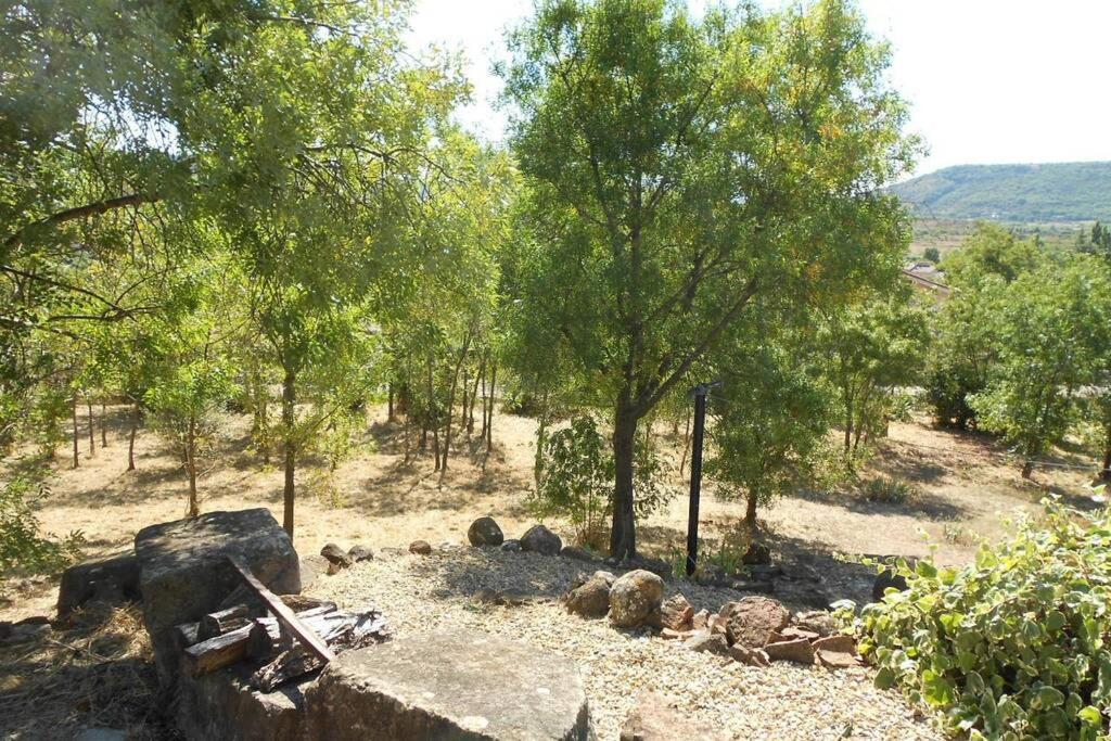La Bergerie, With Private Pool And Garden Villa Lodeve Exterior photo